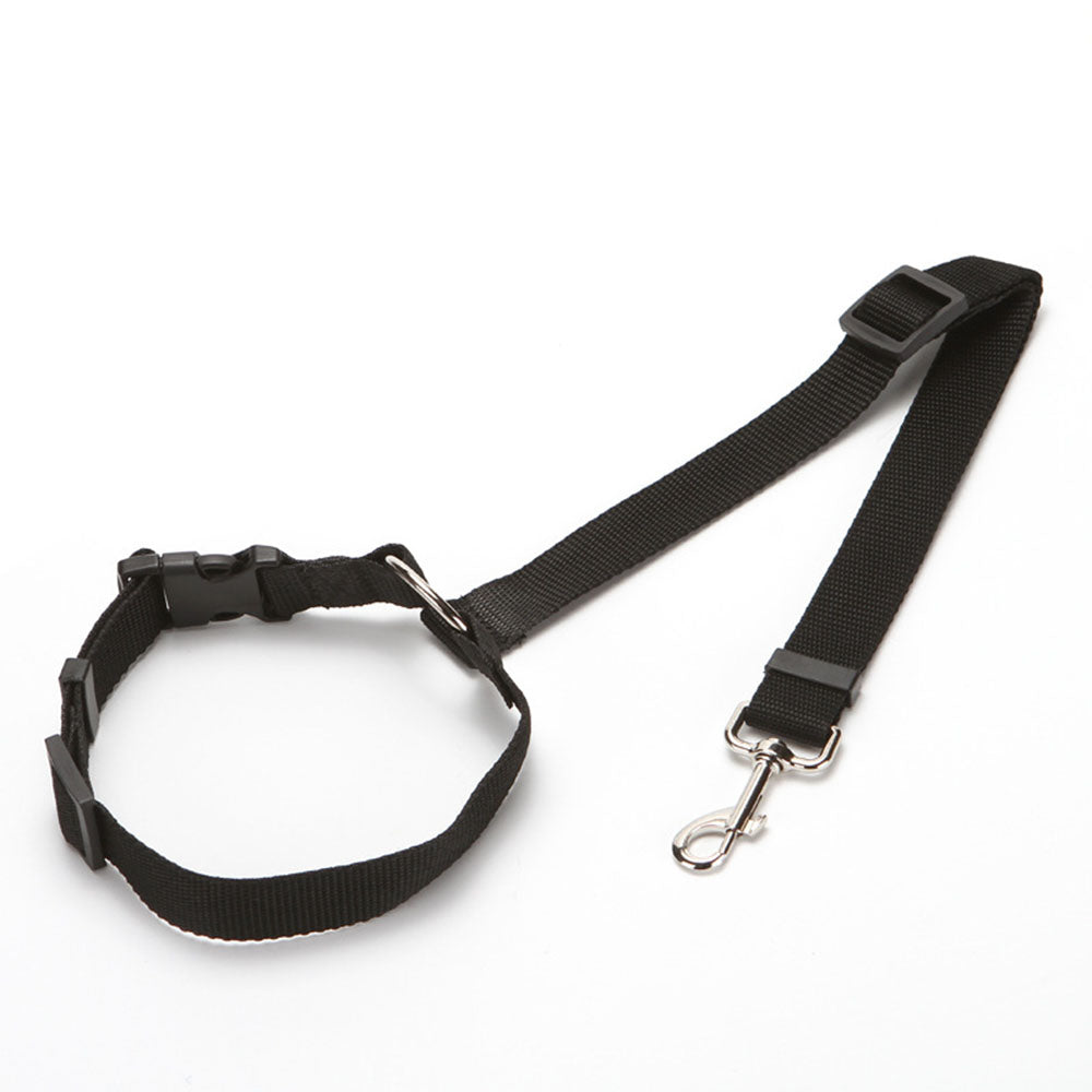 Laisse ceinture de SECURITE pour chien